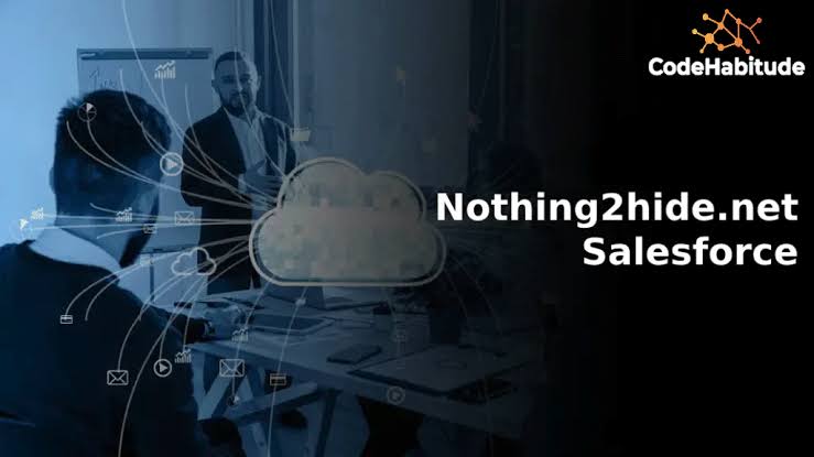 Nothing2Hide.net Salesforce: Privacy and CRM Insights